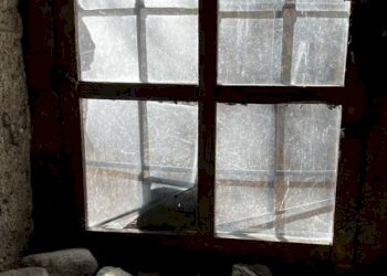 Interno palazzo - Rustico Craveggia - foto 21