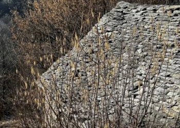 Terreno - Rustico Craveggia - foto 22