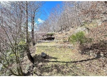 Terreno - Independent house via Spoccia, Valle Cannobina - photo 16