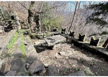 Terreno - Independent house via Spoccia, Valle Cannobina - photo 28