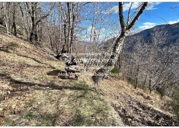 Terreno - Independent house via Spoccia, Valle Cannobina - photo 36