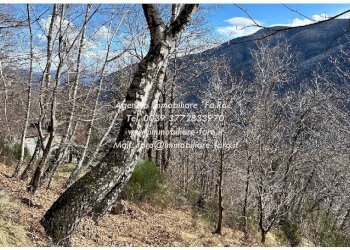 Terreno - Independent house via Spoccia, Valle Cannobina - photo 37