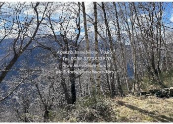 Terreno - Independent house via Spoccia, Valle Cannobina - photo 38