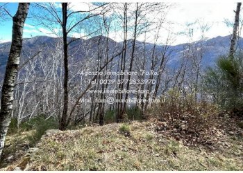 Terreno - Independent house via Spoccia, Valle Cannobina - photo 46