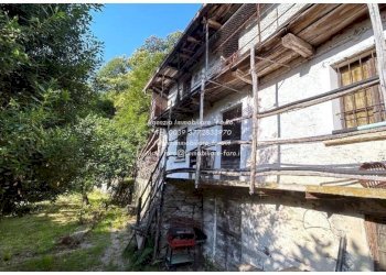 Giardino - Rustico strada Provinciale della Valle Cannobina, Cannobio - foto 3