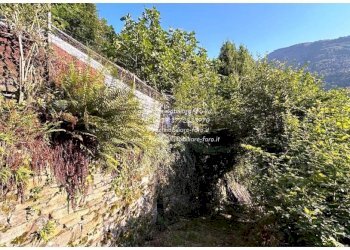 Terreno - Rustico strada Provinciale della Valle Cannobina, Cannobio - foto 4