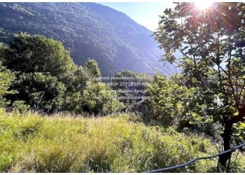 Terreno - Rustico strada Provinciale della Valle Cannobina, Cannobio - foto 12