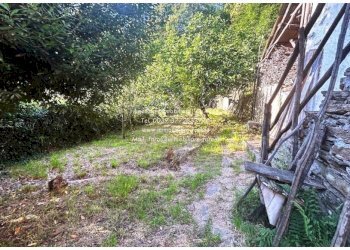 Terreno - Rustico strada Provinciale della Valle Cannobina, Cannobio - foto 16