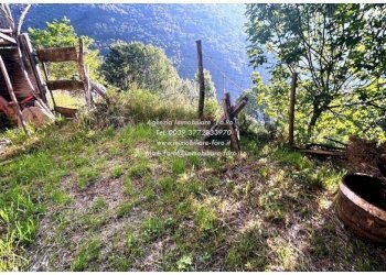 Terreno - Rustico strada Provinciale della Valle Cannobina, Cannobio - foto 17