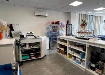 Ristorante Centro San Rocco, 2
Salussola, Salussola - foto 19