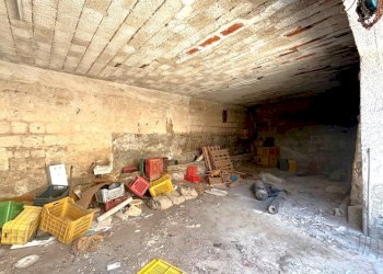 Appartamento Mondragone - foto 12