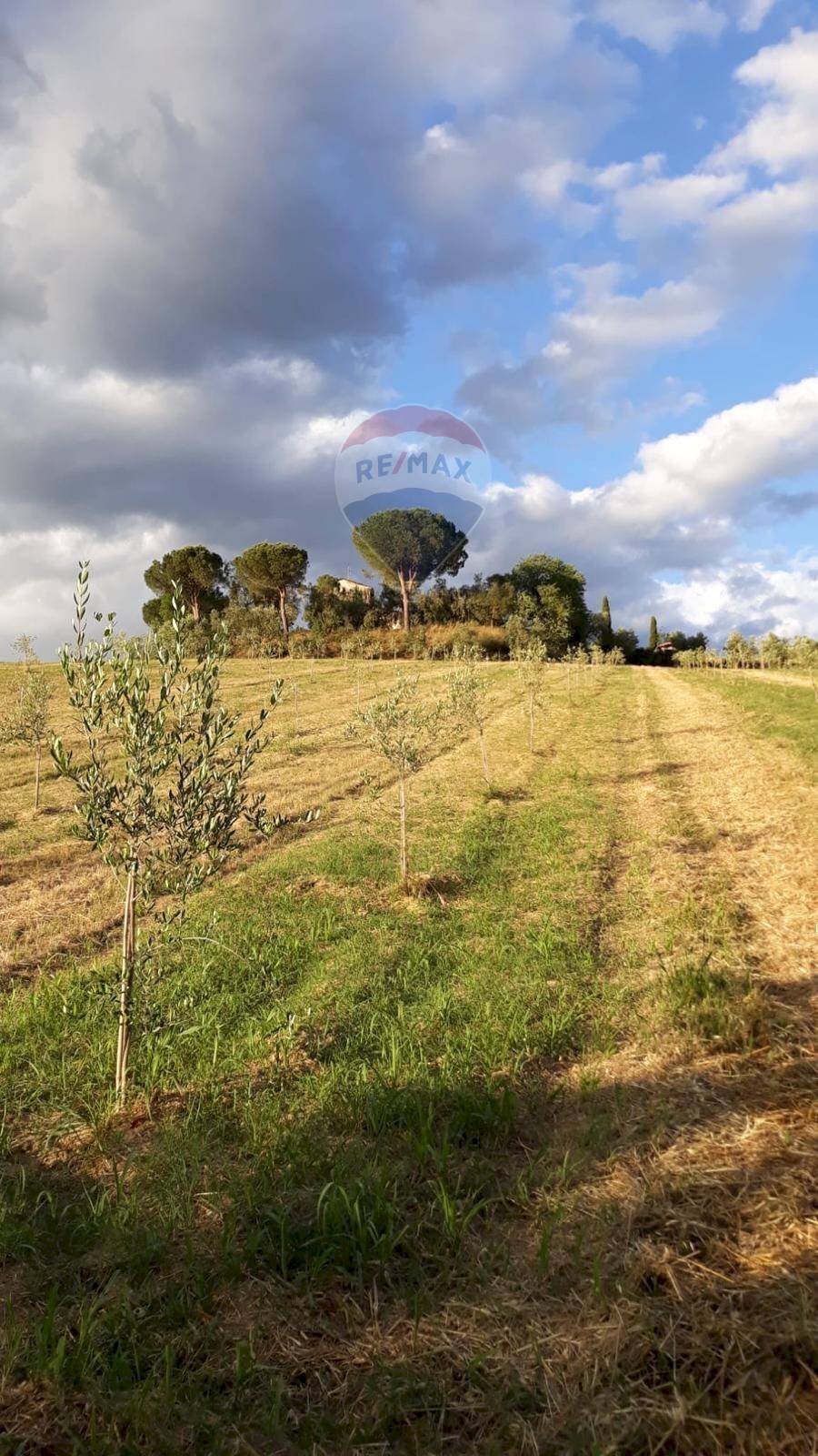 Casale Zona Ospedale, Cesena, Cesena - photo 1