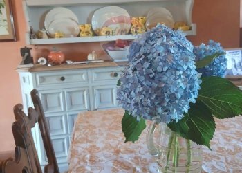 Casale Zona Ospedale, Cesena, Cesena - foto 19