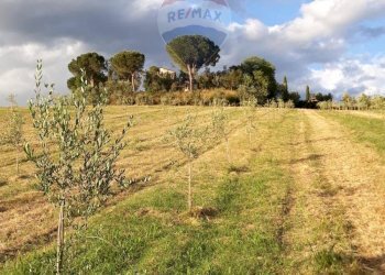 Casale Zona Ospedale, Cesena, Cesena - foto 1