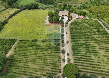 Casale Zona Ospedale, Cesena, Cesena - foto 38