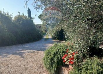 Casale Zona Ospedale, Cesena, Cesena - foto 39