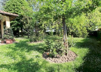 Villetta Calderara di Reno - foto 6