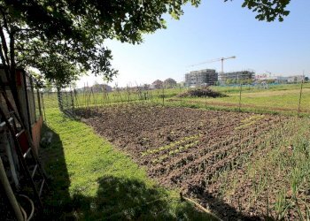 Villetta Calderara di Reno - foto 11