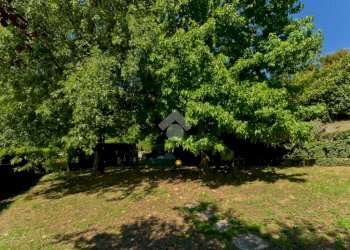 Villa Via Barbara Allason, Pecetto Torinese - foto 29