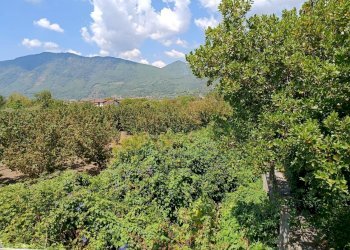 Foto 1 - Terreno agricolo sp 104, Montoro - foto 1