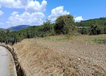 Foto 8 - Terreno agricolo sp 104, Montoro - foto 8