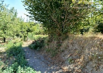 Foto 10 - Terreno agricolo sp 104, Montoro - foto 10