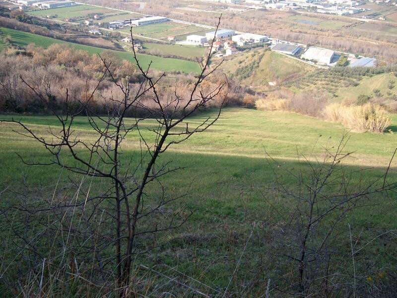 Foto 2 - Terreno agricolo Via Truentina, Colonnella - foto 2