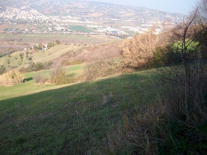 Foto 3 - Terreno agricolo Via Truentina, Colonnella - foto 3