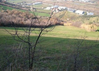 Foto 2 - Terreno agricolo Via Truentina, Colonnella - foto 2