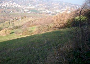 Foto 3 - Terreno agricolo Via Truentina, Colonnella - foto 3