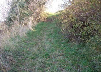 Foto 4 - Terreno agricolo Via Truentina, Colonnella - foto 4