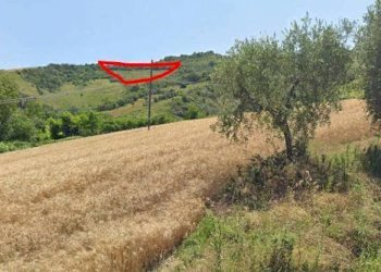 Foto 11 - Terreno agricolo Via Truentina, Colonnella - foto 11