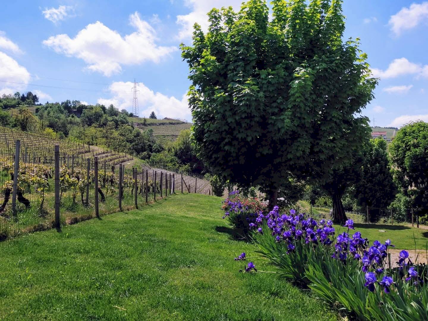 Foto 3 - Rustico frazione Camo, regione Casa Cich, Santo Stefano Belbo - foto 3