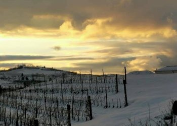 Foto 38 - Rustico frazione Camo, regione Casa Cich, Santo Stefano Belbo - foto 38