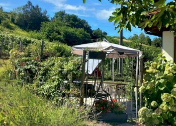 Foto 30 - Rustico frazione Camo, regione Casa Cich, Santo Stefano Belbo - foto 30