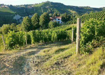 Foto 34 - Rustico frazione Camo, regione Casa Cich, Santo Stefano Belbo - foto 34