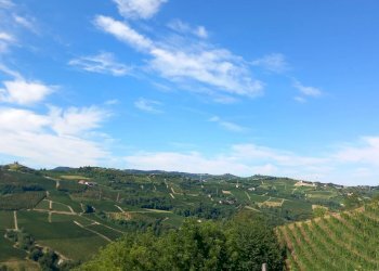 Foto 36 - Rustico frazione Camo, regione Casa Cich, Santo Stefano Belbo - foto 36