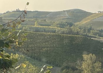 Foto 35 - Rustico frazione Camo, regione Casa Cich, Santo Stefano Belbo - foto 35