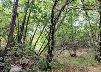 Foto 24 - Villa Aurisina Cave
 
77/b, Duino-Aurisina - foto 24