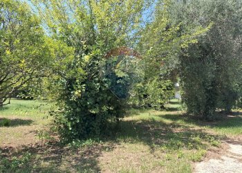 Giardino - Casa indipendente Minturno - foto 10