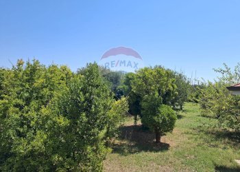 Giardino - Casa indipendente Minturno - foto 11