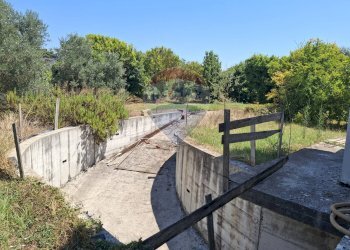 Giardino - Casa indipendente Minturno - foto 13