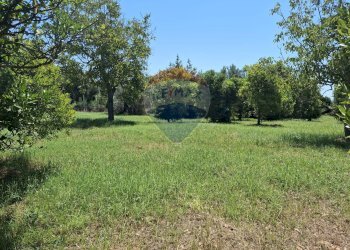 Giardino - Casa indipendente Minturno - foto 16