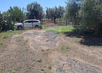 Giardino - Casa indipendente Minturno - foto 17