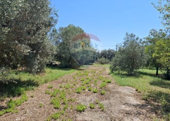 Giardino - Casa indipendente Minturno - foto 18