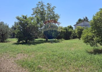 Giardino - Casa indipendente Minturno - foto 21