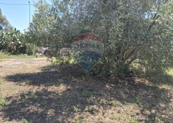 Giardino - Casa indipendente Minturno - foto 24