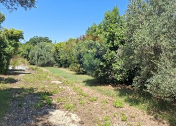 Giardino - Casa indipendente Minturno - foto 32