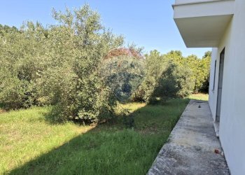 Giardino - Casa indipendente Minturno - foto 33