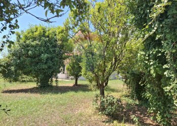 Giardino - Casa indipendente Minturno - foto 43